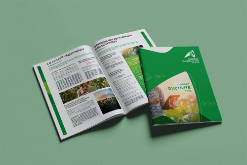 Rapport d'activités 2024